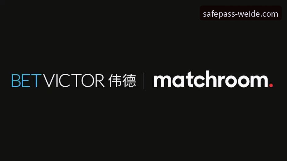伟德官网bv 伟德体育平台深度解析:伟德官网bv安全通道与用户体验全面评估